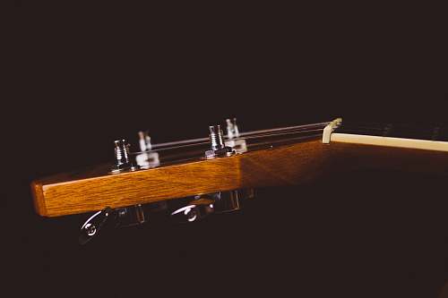 leisure activities shallow focus photo of brown guitar headstock guitar